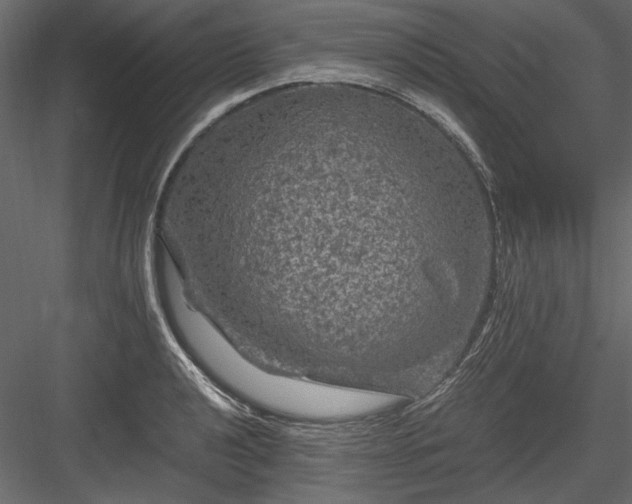 X0000084031040200702232253