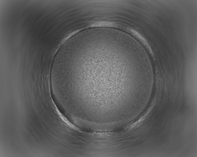 X0000084031041200702232253