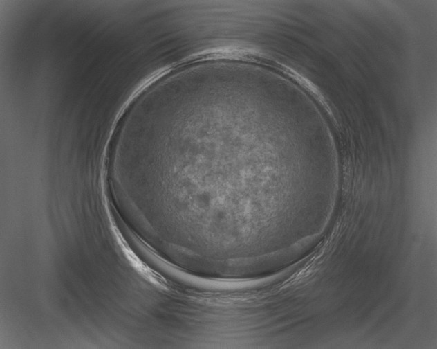 X0000084031042200702232253