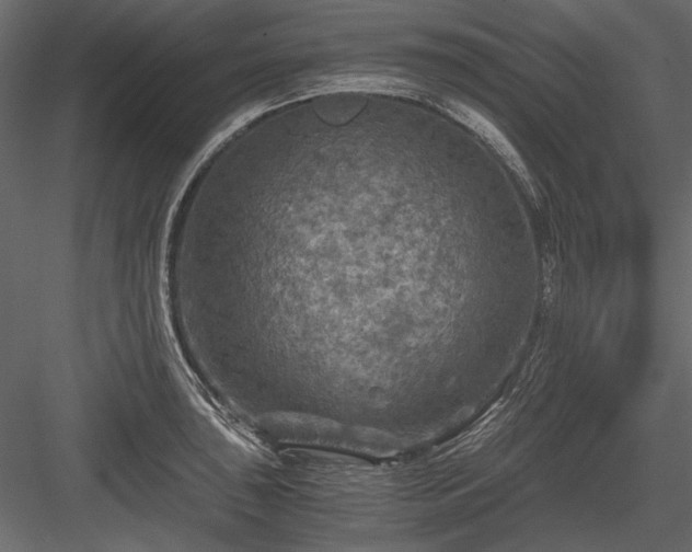 X0000084031043200702232253