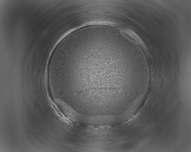 X0000084031044200702232253