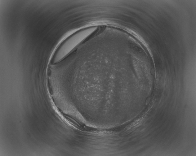 X0000084031045200702232253