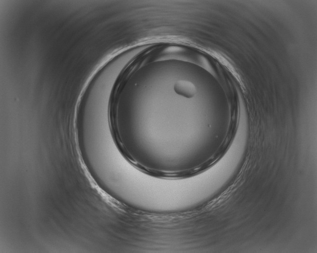 X0000084031046200702232253