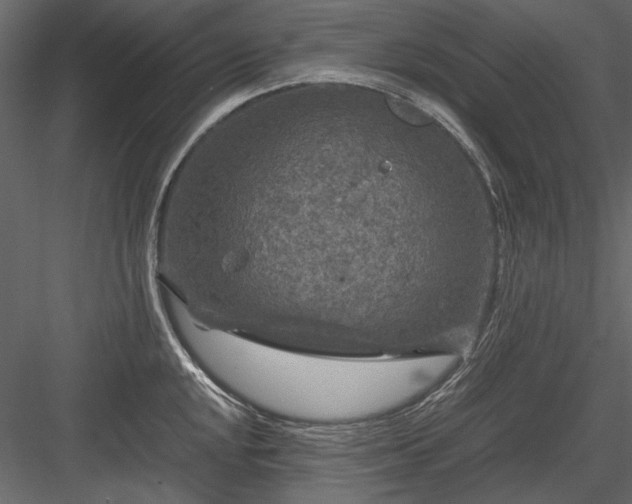 X0000084031048200702232253