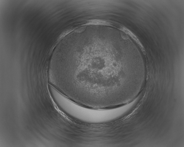 X0000084031049200702232253