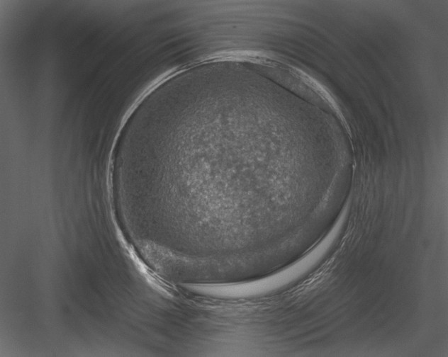 X0000084031050200702232253