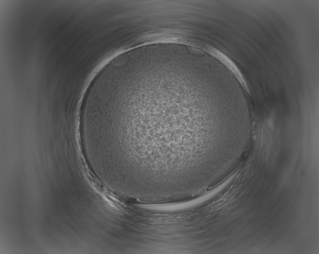 X0000084031051200702232253