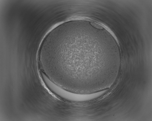 X0000084031053200702232253