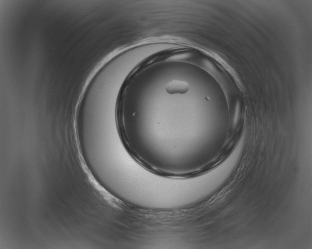 X0000084031054200702232253