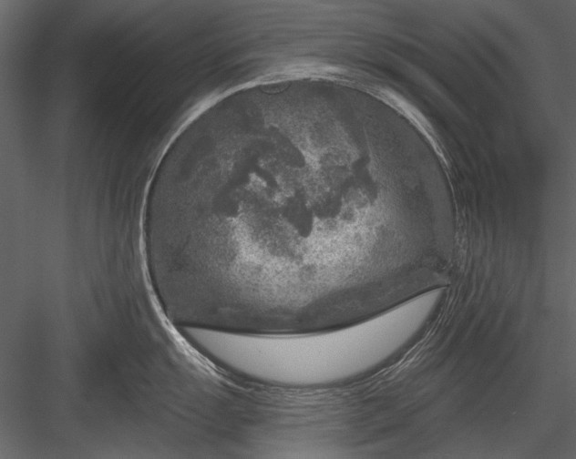 X0000084031055200702232253