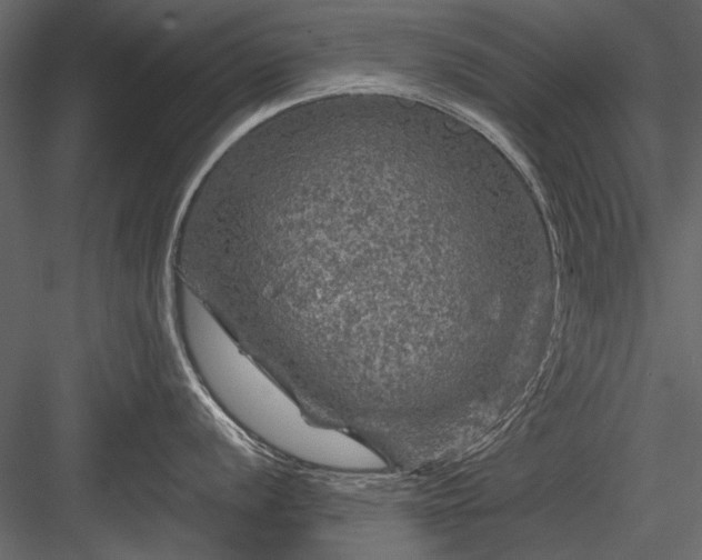 X0000084031056200702232253