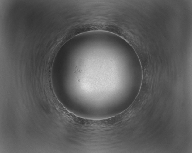 X0000084031057200702232252