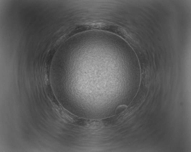 X0000084031058200702232252