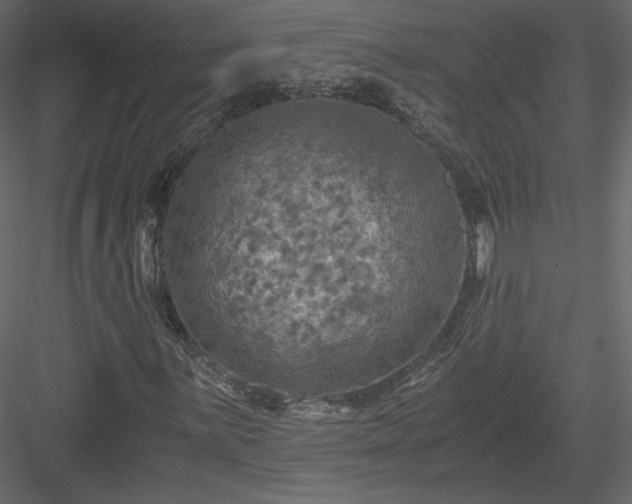 X0000084031059200702232252