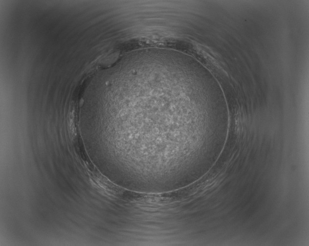 X0000084031060200702232252