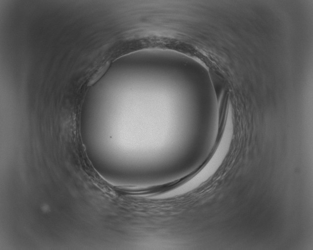 X0000084031061200702232252