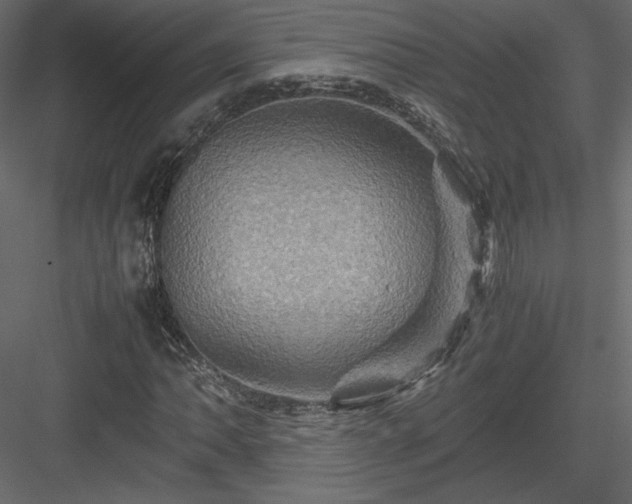 X0000084031062200702232252