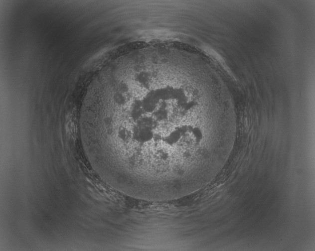 X0000084031063200702232252