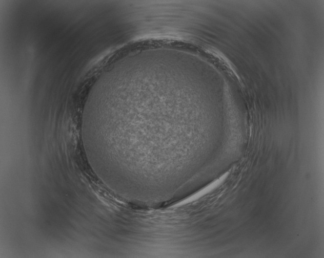 X0000084031064200702232252