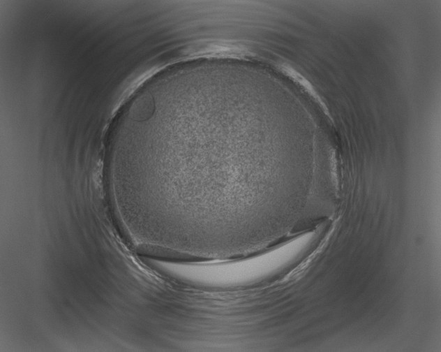 X0000084031066200702232252