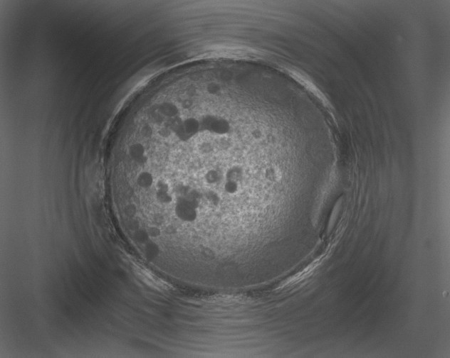 X0000084031067200702232252