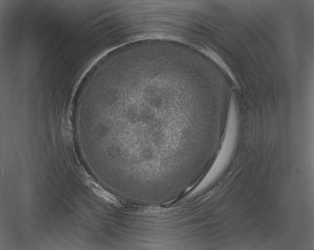 X0000084031068200702232252