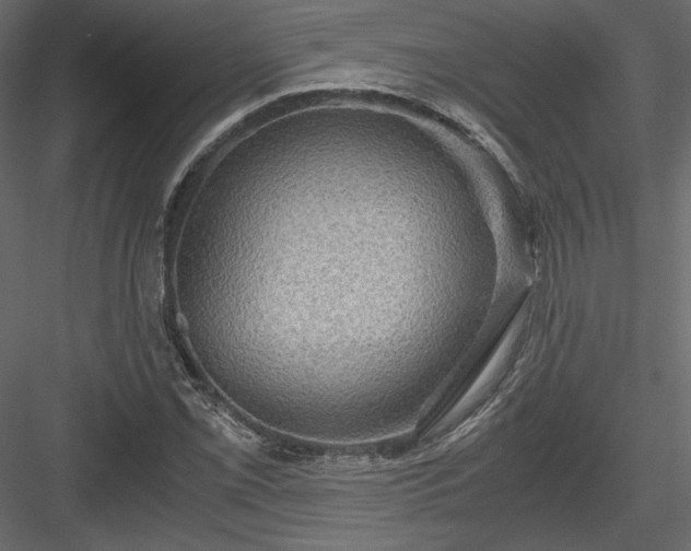 X0000084031069200702232252