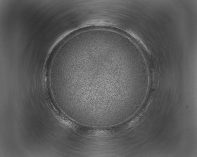 X0000084031070200702232252