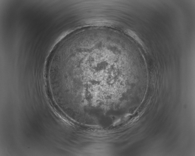 X0000084031071200702232252