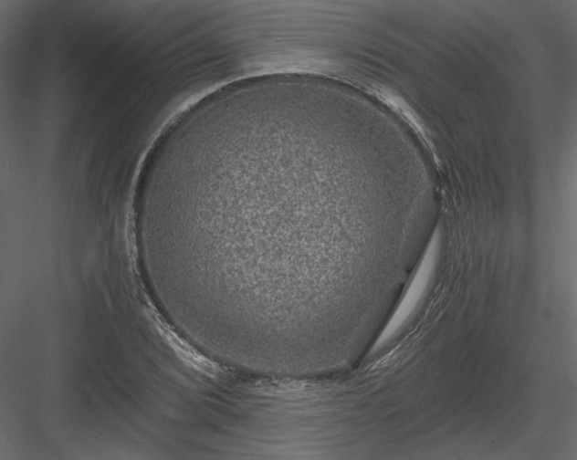 X0000084031072200702232252