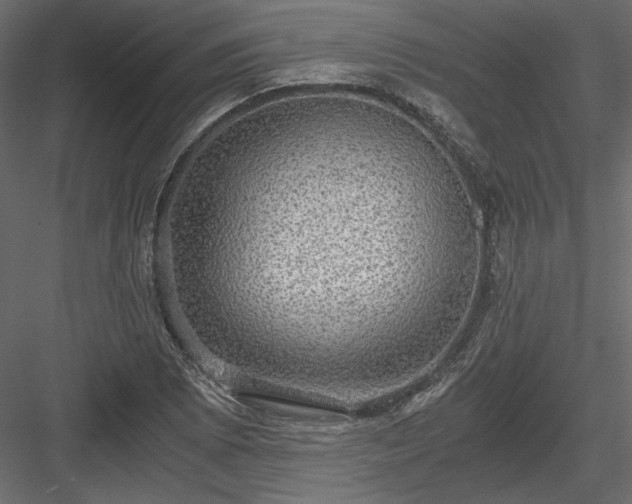 X0000084031073200702232252