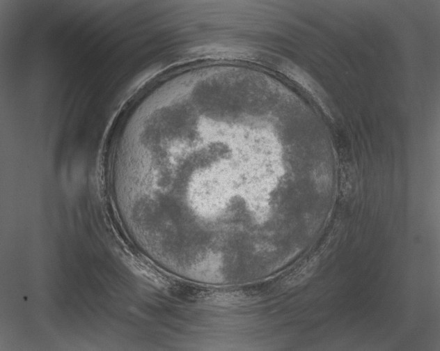 X0000084031074200702232252