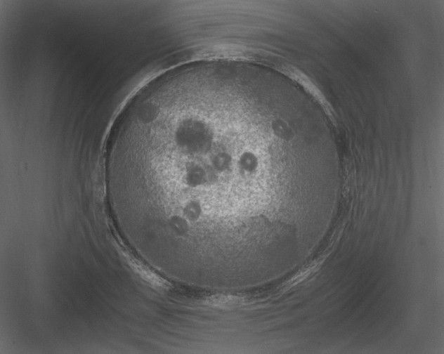 X0000084031075200702232252