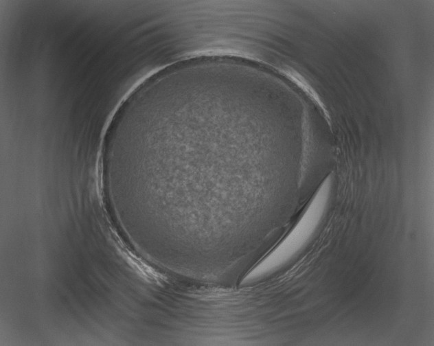 X0000084031076200702232252