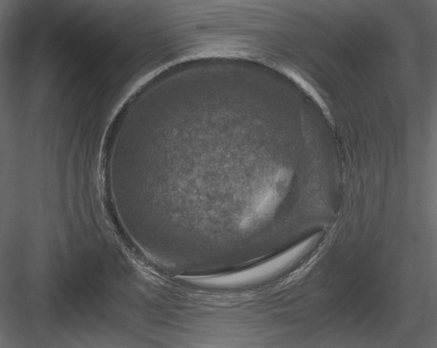 X0000084031077200702232252