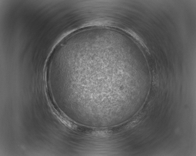 X0000084031078200702232252