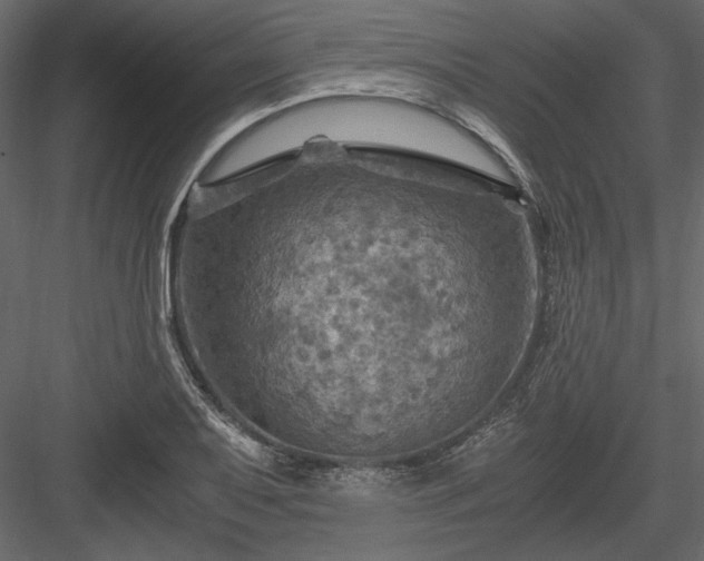 X0000084031079200702232252