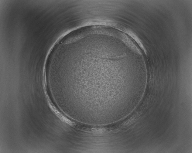 X0000084031080200702232252