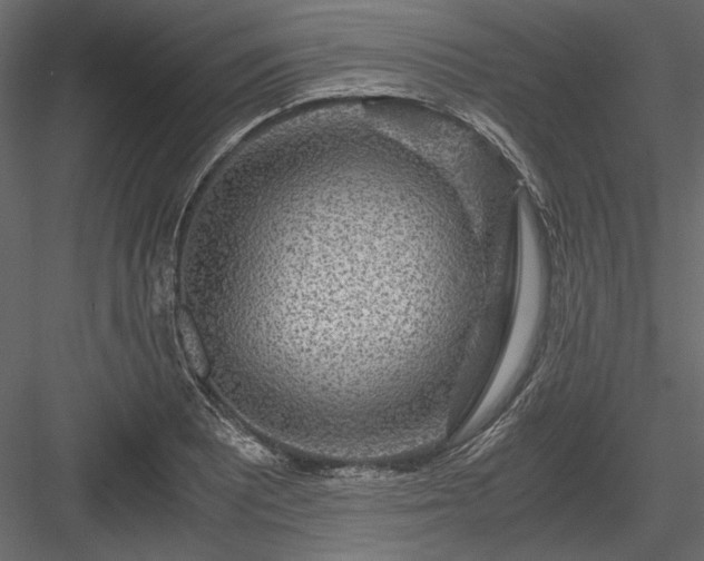 X0000084031081200702232252