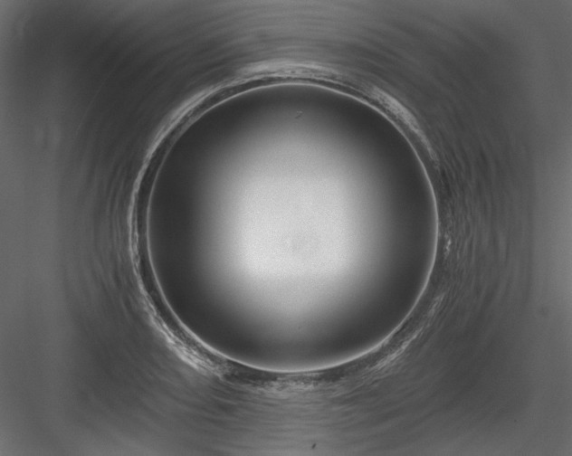 X0000084031082200702232252