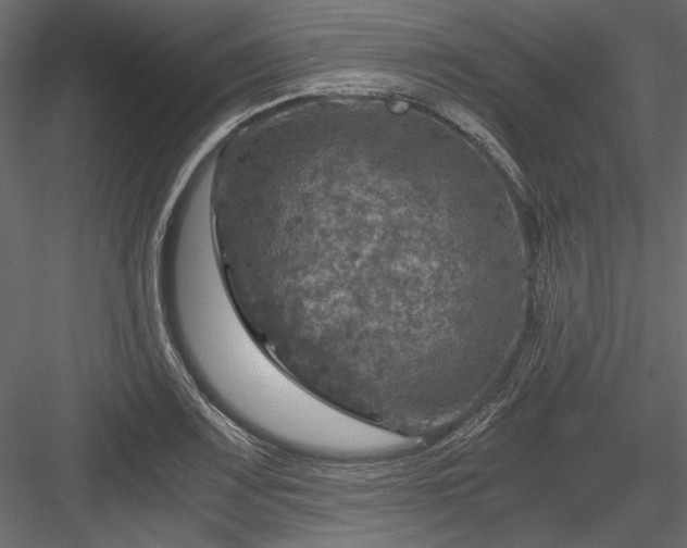 X0000084031083200702232252