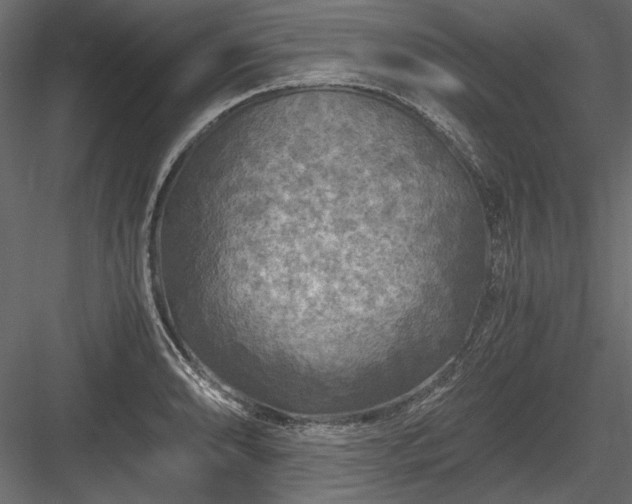 X0000084031086200702232252