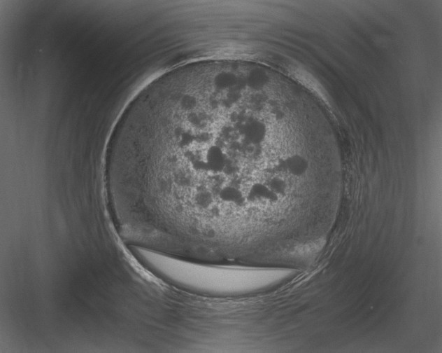 X0000084031087200702232252