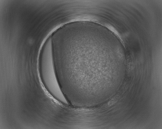 X0000084031088200702232252