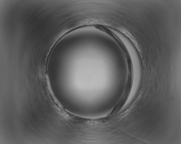 X0000084031089200702232252