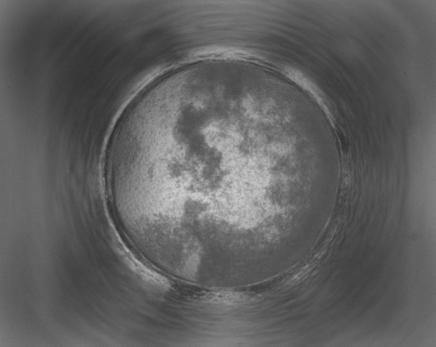 X0000084031090200702232252