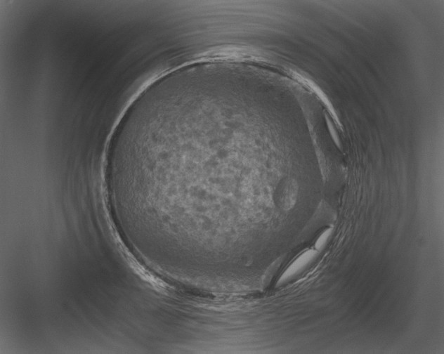 X0000084031091200702232252