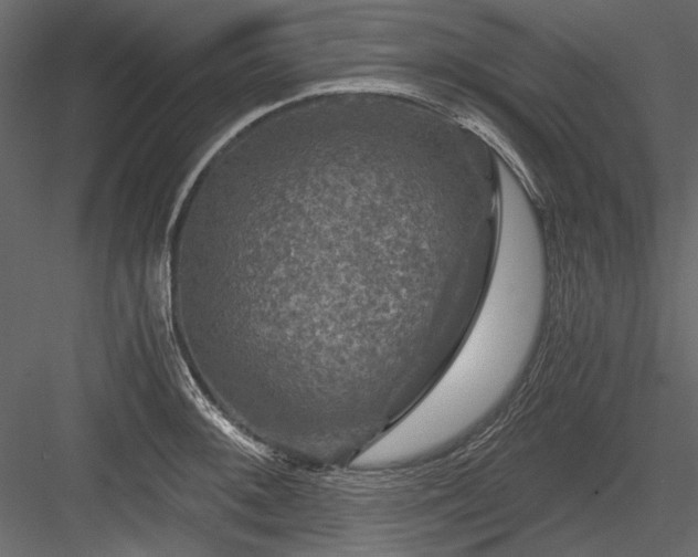 X0000084031092200702232252