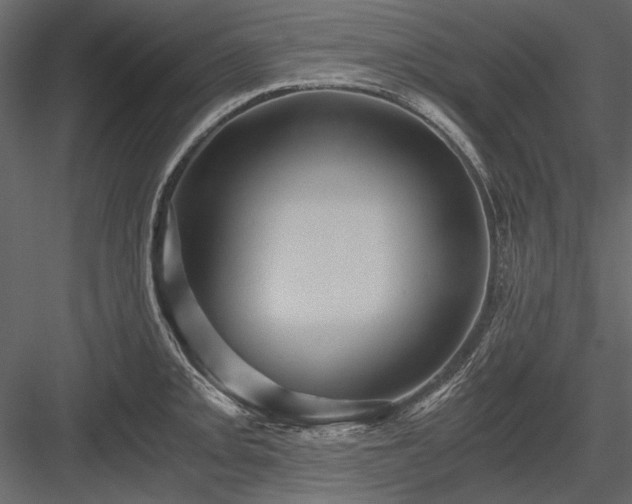 X0000084031093200702232252