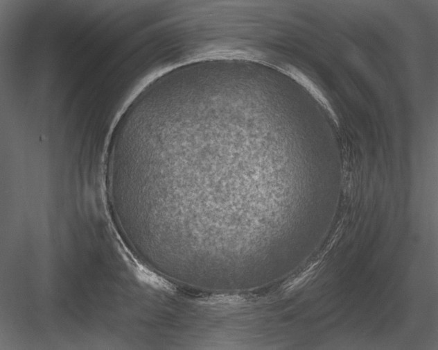 X0000084031094200702232252